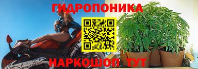 индика Балахна