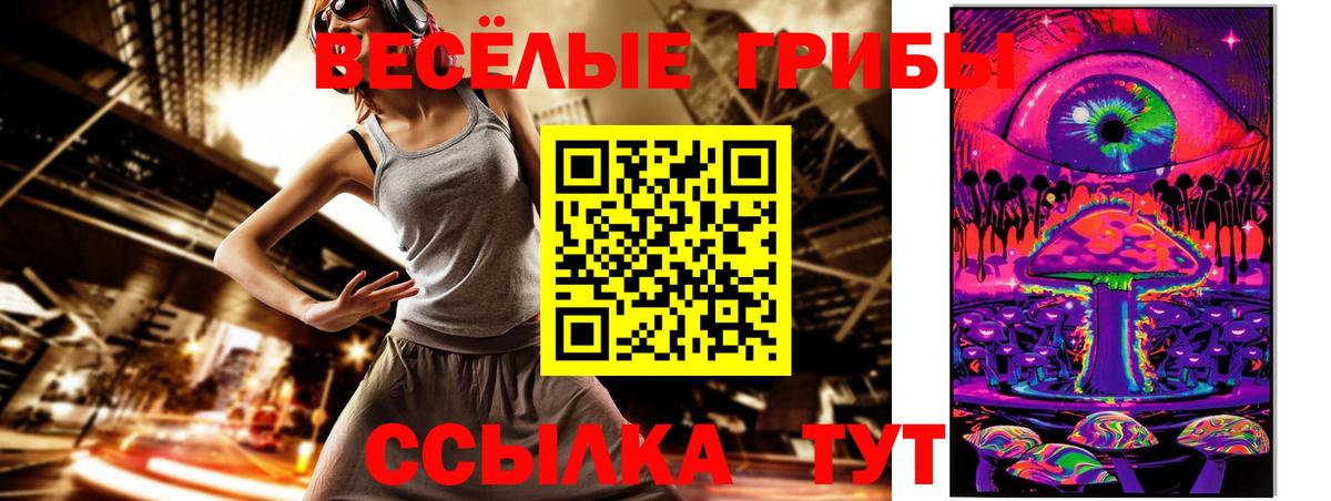 Псилоцибиновые грибы ЛСД Гусиноозёрск