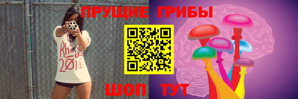 Гусиноозёрск  Галлюциногенные грибы Psilocybe  Вход с VPN  Галлюциногенные грибы MAGIC MUSHROOMS 